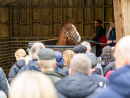 WG031025-88 - Margaret'ts Legacy on the water treadmill
